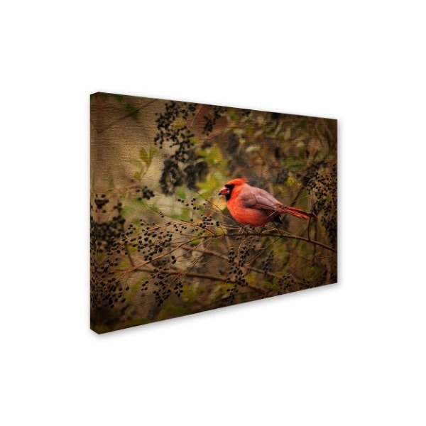 Jai Johnson 'Song Of The Red Bird 2' Canvas Art,35x47